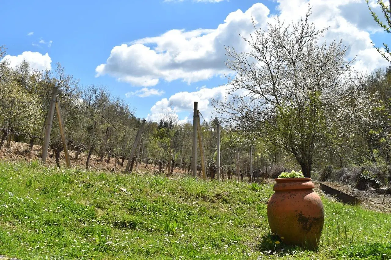 Holiday home Splendido Podere Nel Cuore Della Toscana Villa Trequanda
